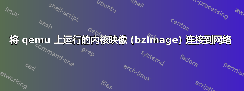 将 qemu 上运行的内核映像 (bzImage) 连接到网络