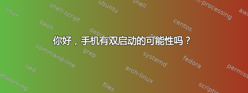 你好，手机有双启动的可能性吗？