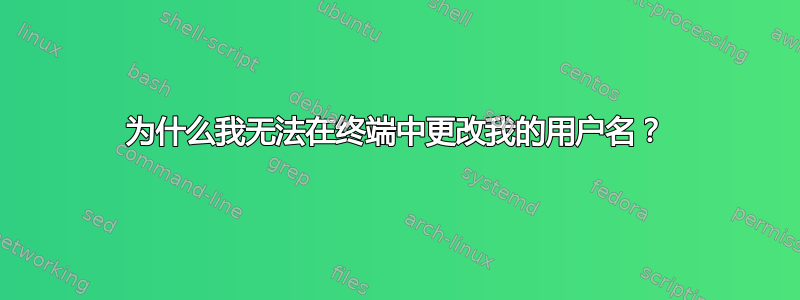 为什么我无法在终端中更改我的用户名？