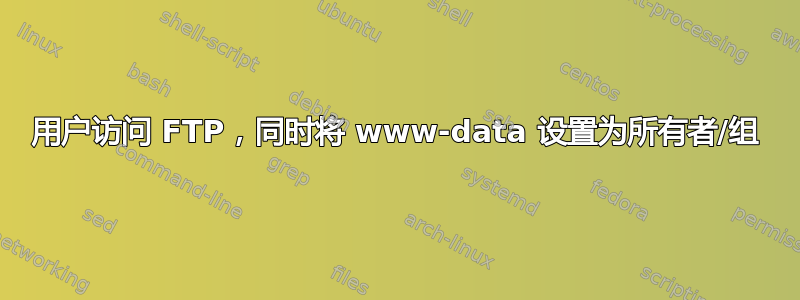 用户访问 FTP，同时将 www-data 设置为所有者/组