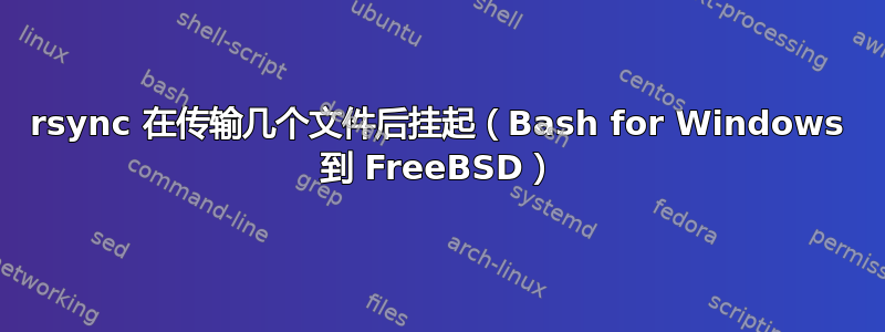 rsync 在传输几个文件后挂起（Bash for Windows 到 FreeBSD）