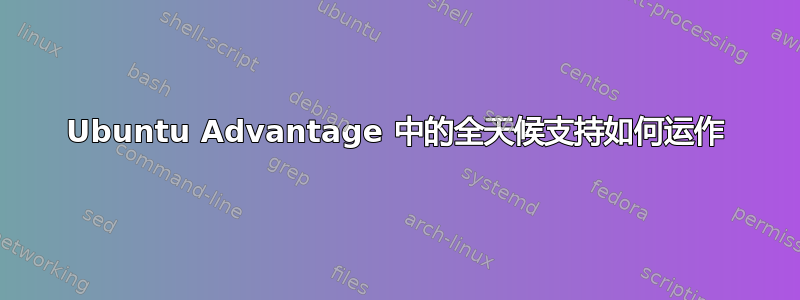 Ubuntu Advantage 中的全天候支持如何运作