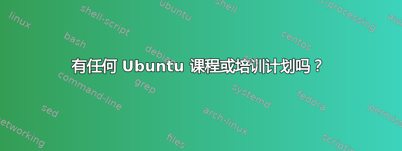 有任何 Ubuntu 课程或培训计划吗？