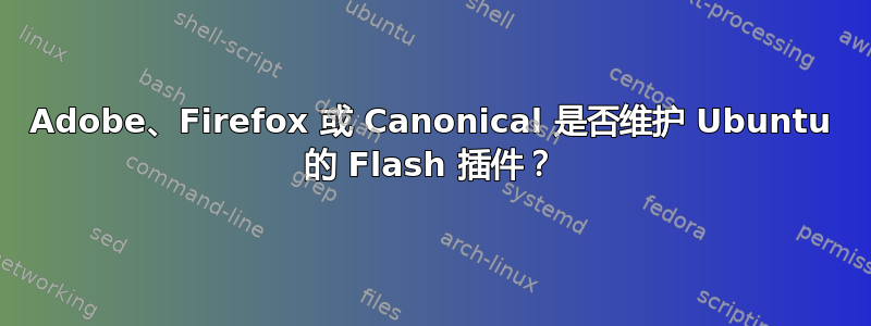 Adobe、Firefox 或 Canonical 是否维护 Ubuntu 的 Flash 插件？