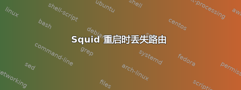 Squid 重启时丢失路由