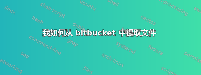 我如何从 bitbucket 中提取文件