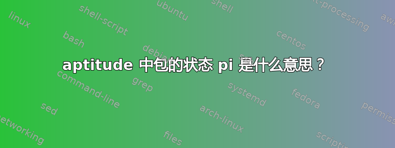 aptitude 中包的状态 pi 是什么意思？