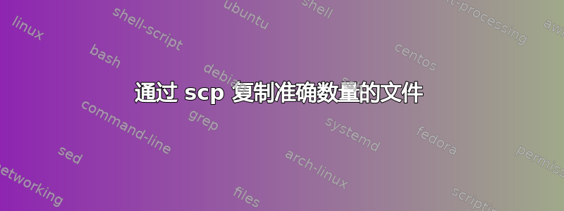 通过 scp 复制准确数量的文件