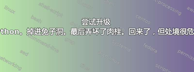 尝试升级 Python。掉进兔子洞。最后弄坏了肉桂。回来了，但处境很危险 