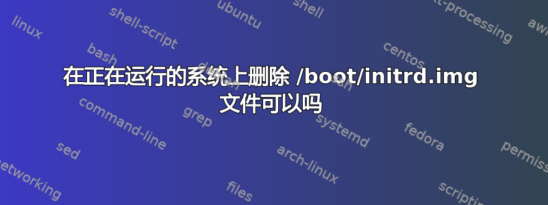 在正在运行的系统上删除 /boot/initrd.img 文件可以吗