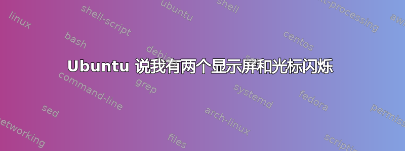 Ubuntu 说我有两个显示屏和光标闪烁