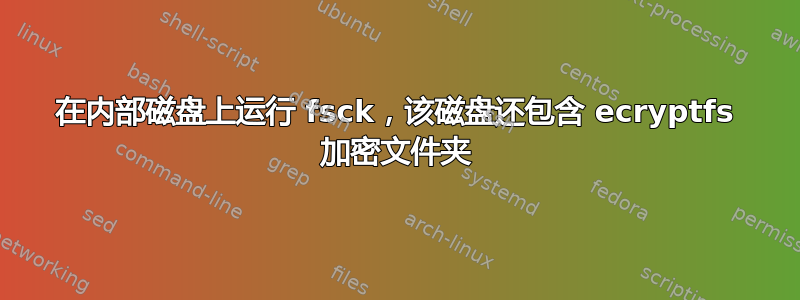 在内部磁盘上运行 fsck，该磁盘还包含 ecryptfs 加密文件夹