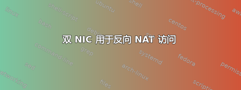 双 NIC 用于反向 NAT 访问