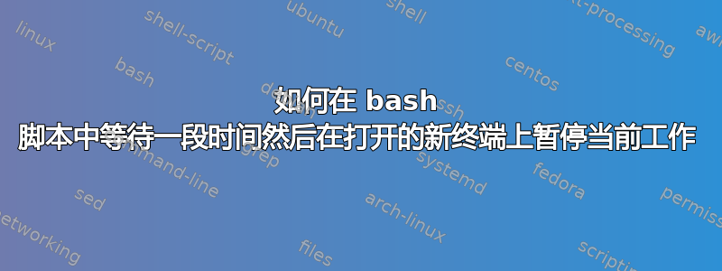 如何在 bash 脚本中等待一段时间然后在打开的新终端上暂停当前工作