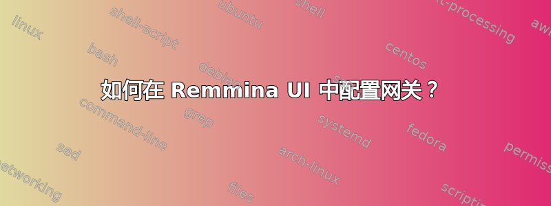 如何在 Remmina UI 中配置网关？