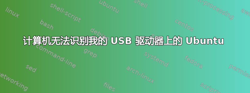 计算机无法识别我的 USB 驱动器上的 Ubuntu