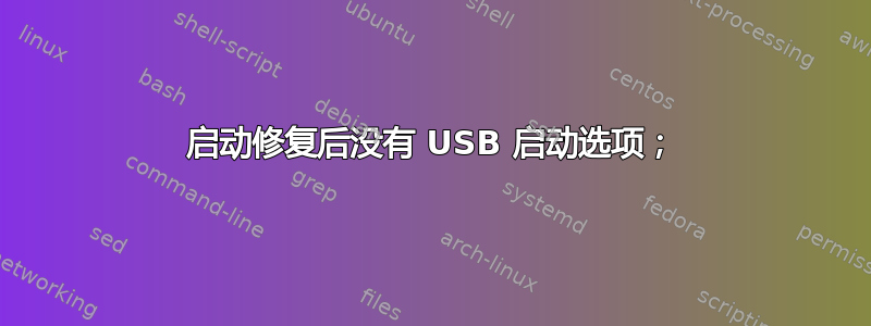 启动修复后没有 USB 启动选项；