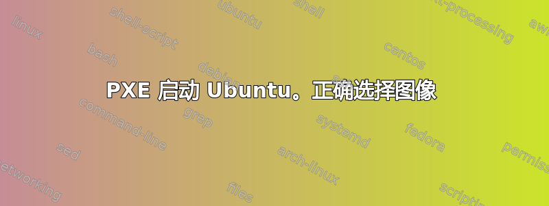 PXE 启动 Ubuntu。正确选择图像