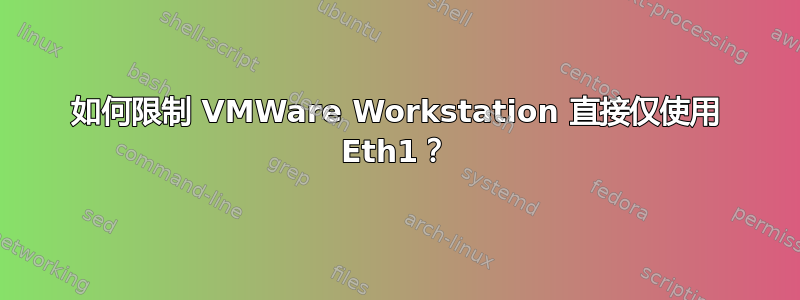 如何限制 VMWare Workstation 直接仅使用 Eth1？