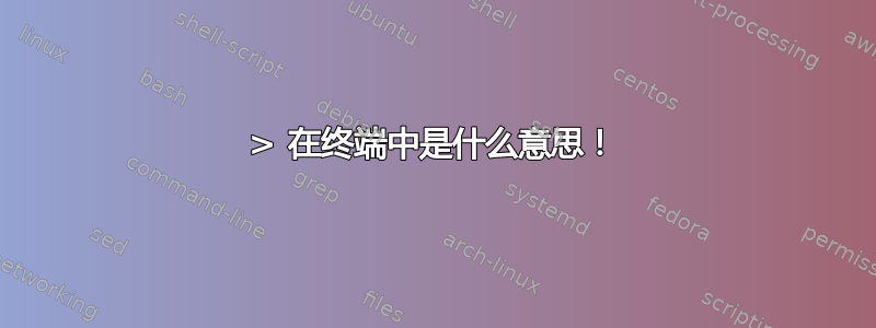 > 在终端中是什么意思！