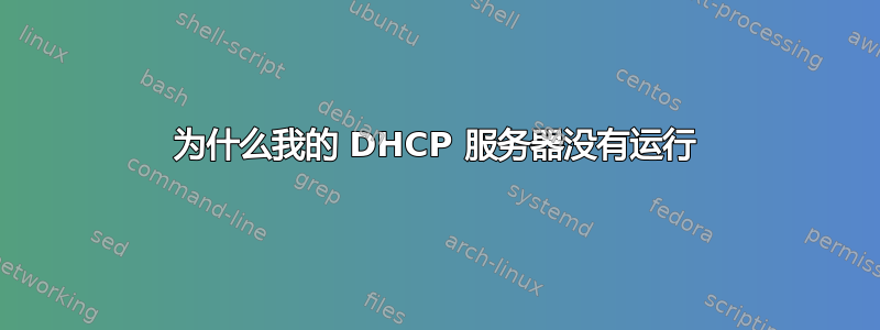 为什么我的 DHCP 服务器没有运行