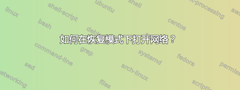 如何在恢复模式下打开网络？