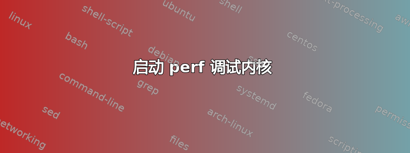 启动 perf 调试内核