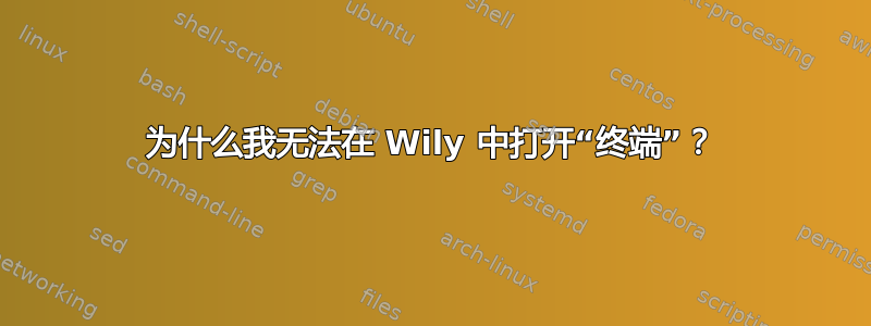 为什么我无法在 Wily 中打开“终端”？