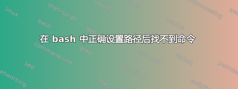 在 bash 中正确设置路径后找不到命令