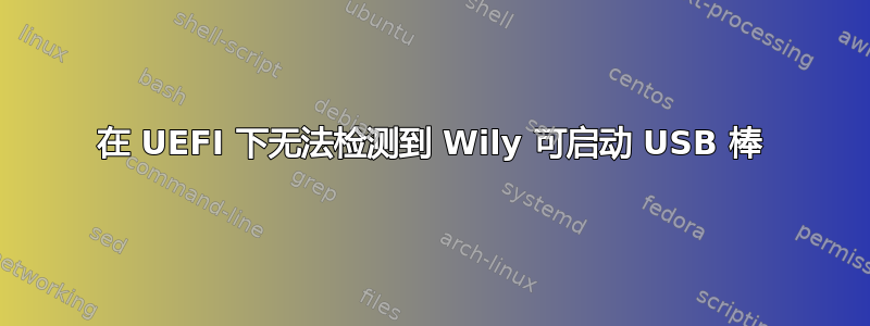 在 UEFI 下无法检测到 Wily 可启动 USB 棒