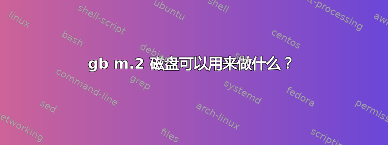 16gb m.2 磁盘可以用来做什么？