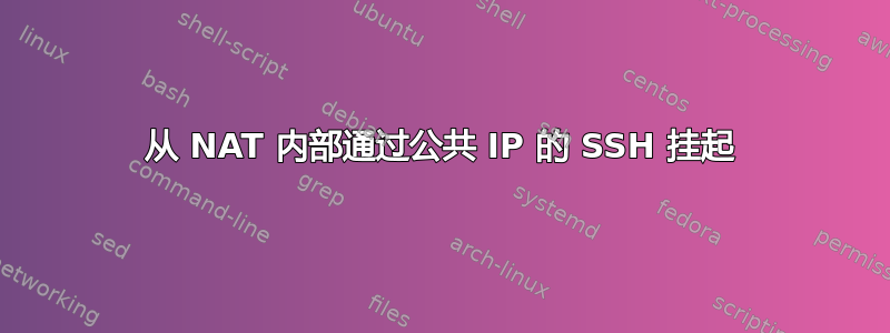 从 NAT 内部通过公共 IP 的 SSH 挂起