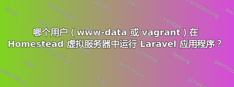 哪个用户（www-data 或 vagrant）在 Homestead 虚拟服务器中运行 Laravel 应用程序？