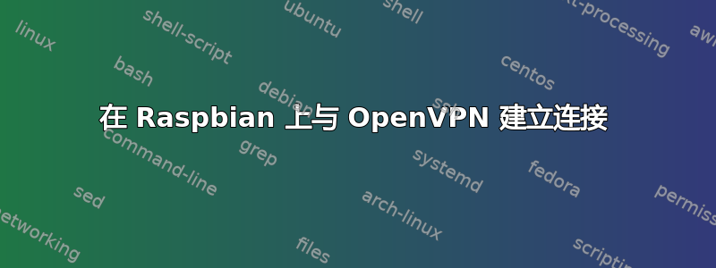 在 Raspbian 上与 OpenVPN 建立连接