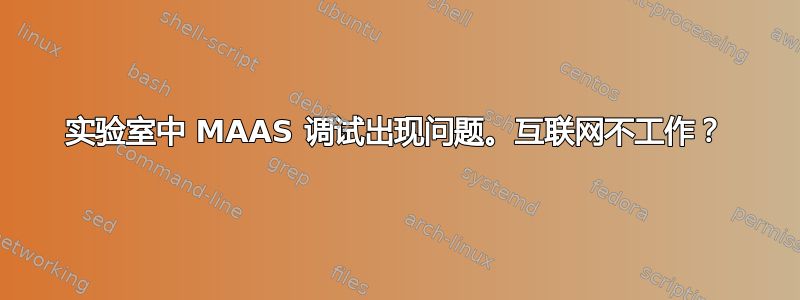 实验室中 MAAS 调试出现问题。互联网不工作？