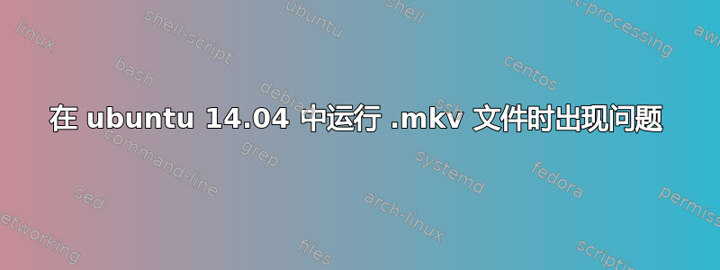 在 ubuntu 14.04 中运行 .mkv 文件时出现问题