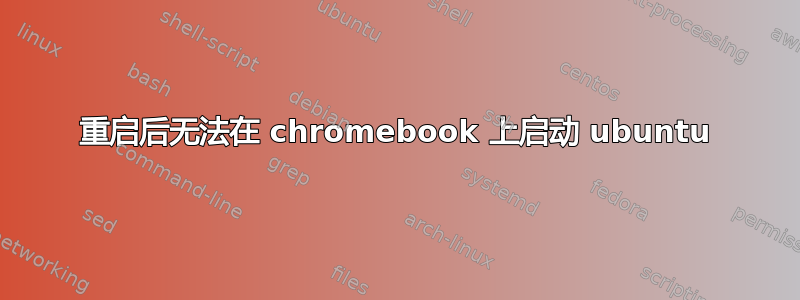 重启后无法在 chromebook 上启动 ubuntu