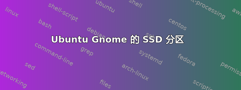 Ubuntu Gnome 的 SSD 分区 