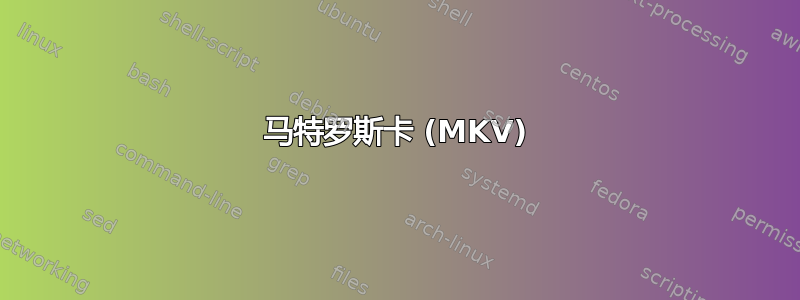 马特罗斯卡 (MKV)