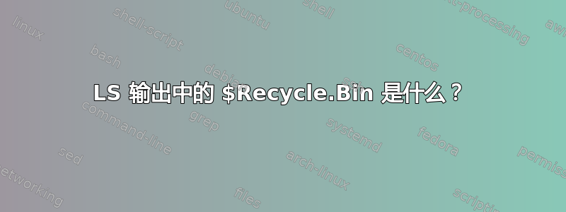 LS 输出中的 $Recycle.Bin 是什么？