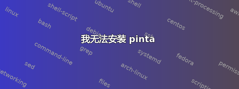 我无法安装 pinta