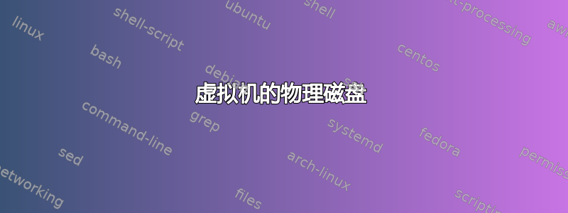 虚拟机的物理磁盘