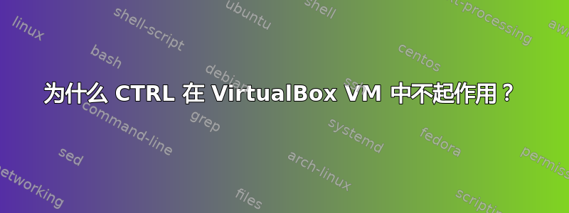 为什么 CTRL 在 VirtualBox VM 中不起作用？