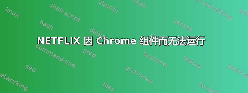 NETFLIX 因 Chrome 组件而无法运行 