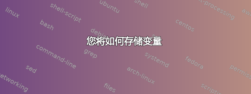 您将如何存储变量