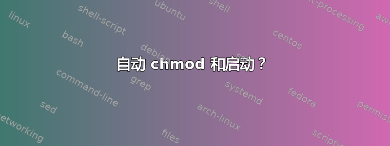 自动 chmod 和启动？