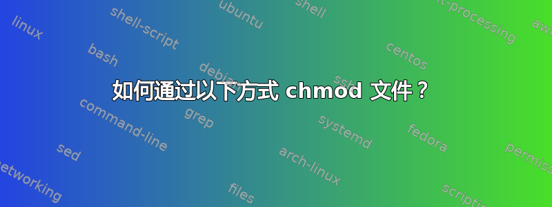 如何通过以下方式 chmod 文件？