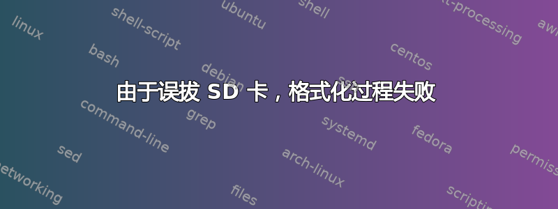 由于误拔 SD 卡，格式化过程失败