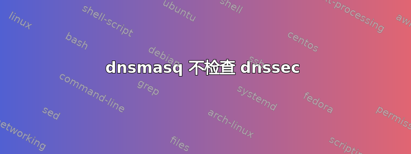 dnsmasq 不检查 dnssec