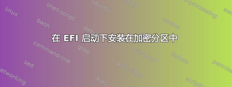 在 EFI 启动下安装在加密分区中